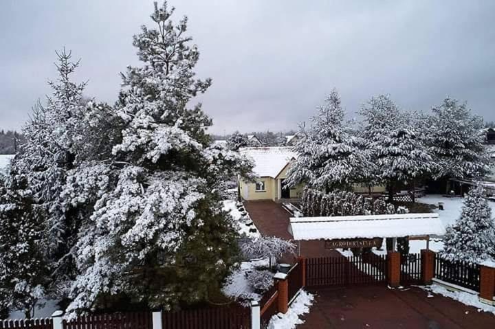 Agroturystyka Barycz 46 Konskie Экстерьер фото